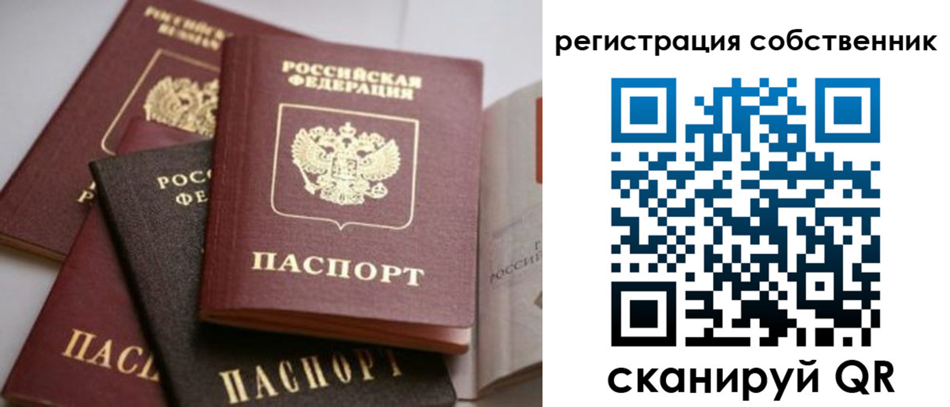 временная регистрация поиск в Свободном